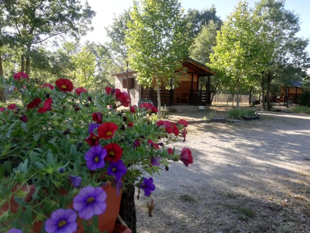 Cabañas Vallecino