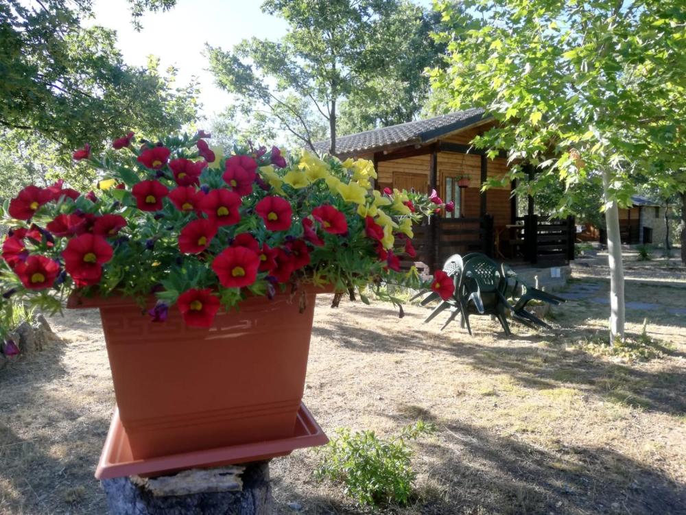 Cabañas Vallecino